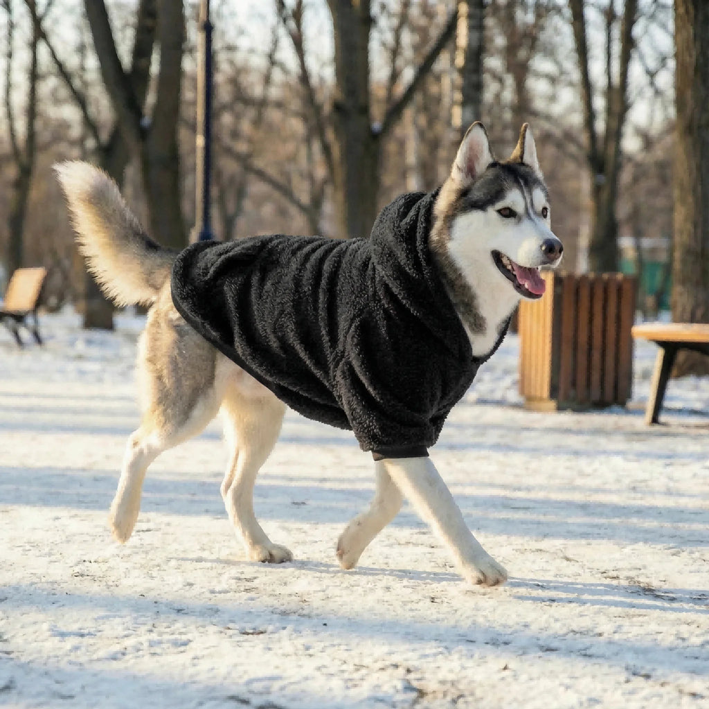 Dog Clothing for Winter - Medium & Large Dogs