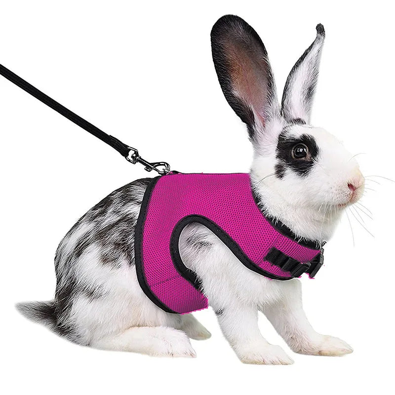 Mesh Breathable Rabbit Harness and Leash Set for Rabbits