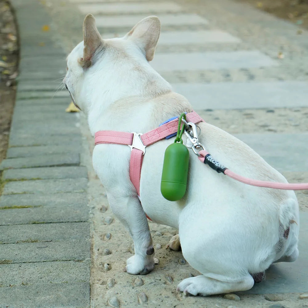 Disposable Dog Waste Bags