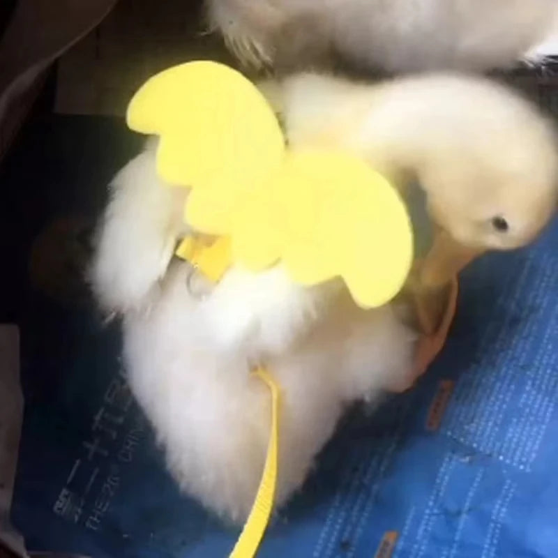 Cute Wing Duck Leash Pet Cat Harness