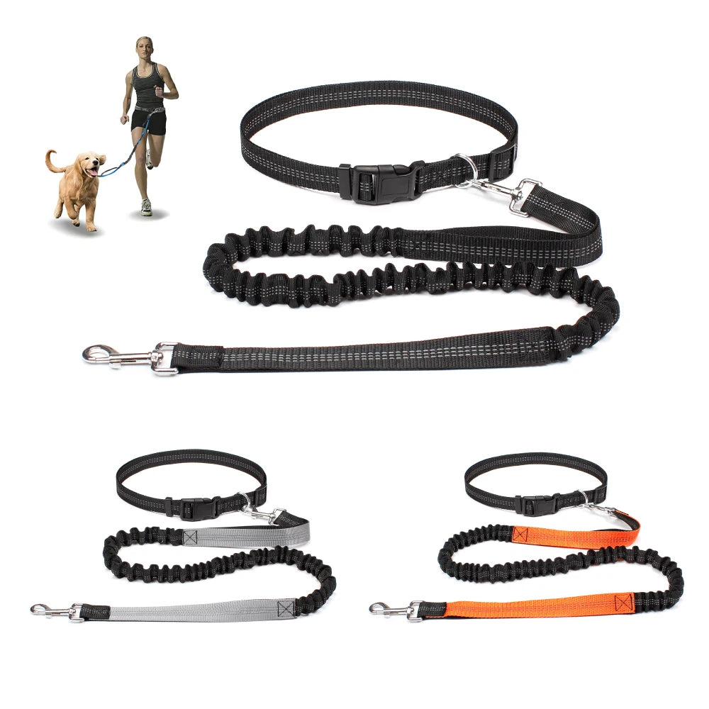 Hand Free Dog Leash for Pet Walking Running Jogging Adjustable