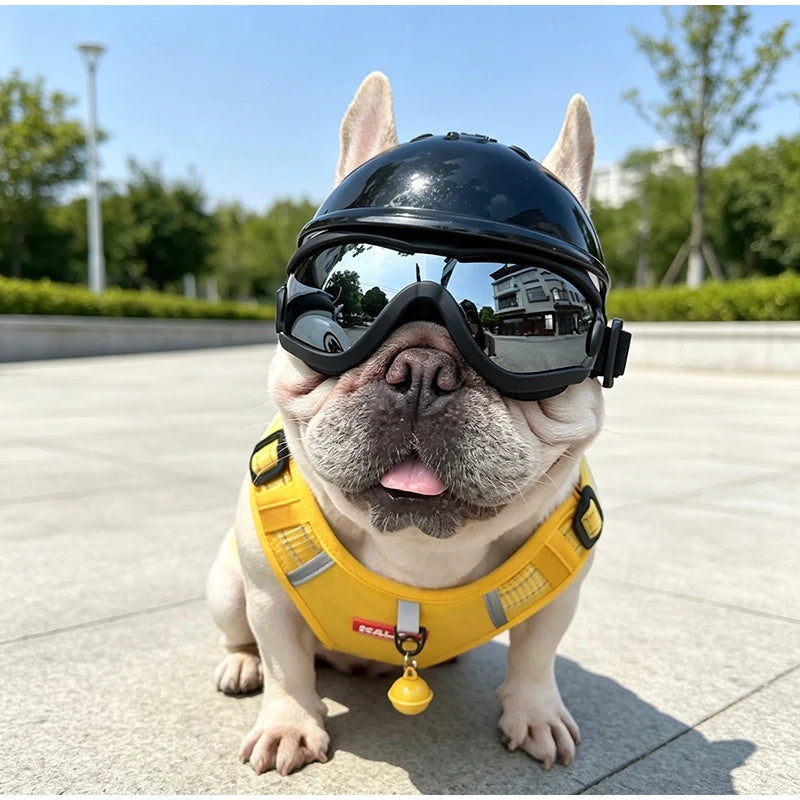 Pet Helmets Windproof Transparent Glasses Sunglasses