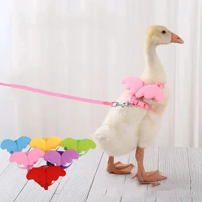 Cute Wing Duck Leash Pet Cat Harness