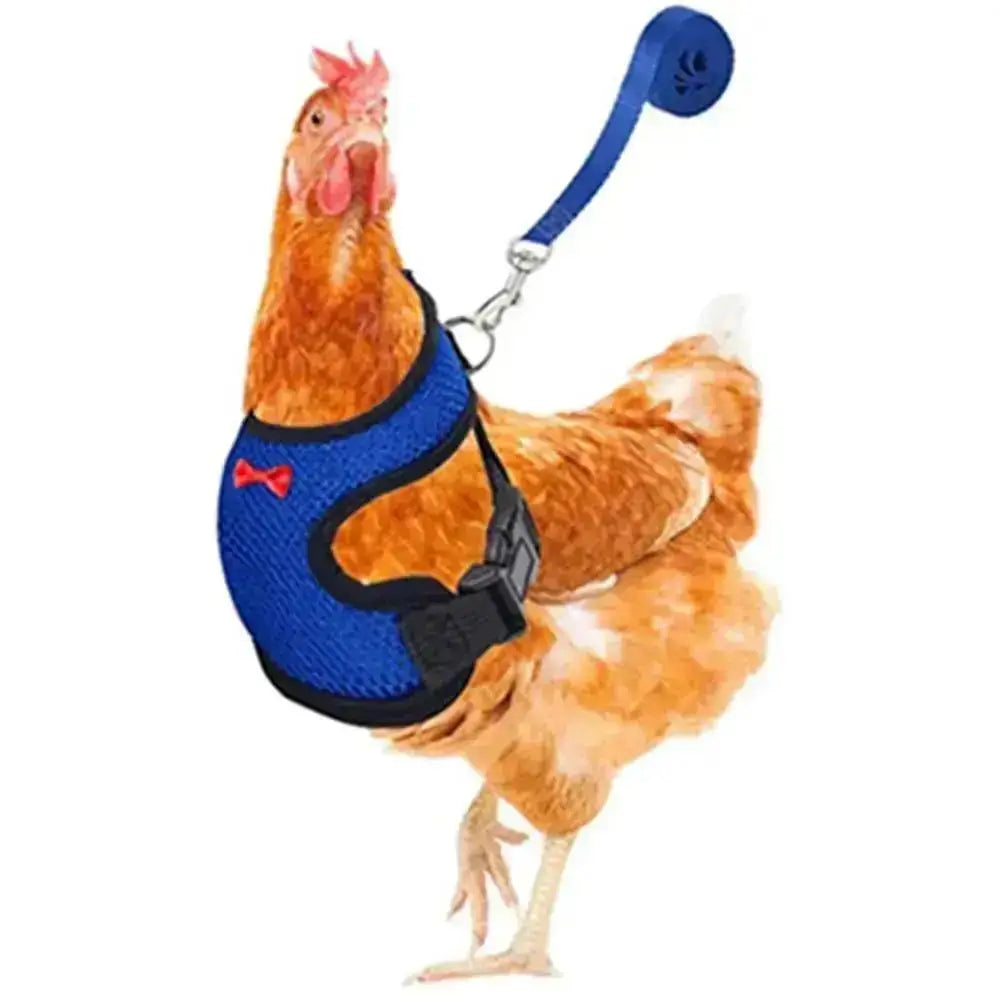 1 Pcs Fashion Chicken Duck Vest / Harness