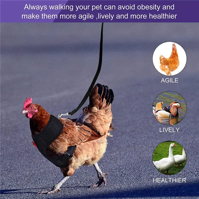 Fashion Chicken Duck Vest
