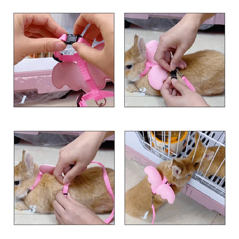 Angel Pet, Callduck Harness Leash, suitable for cats, rabbits,