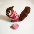 2pcs/set Hamster Harness And Leash Walking Set,