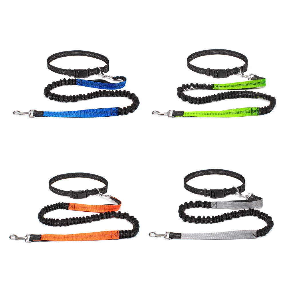 Hand Free Dog Leash for Pet Walking Running Jogging Adjustable