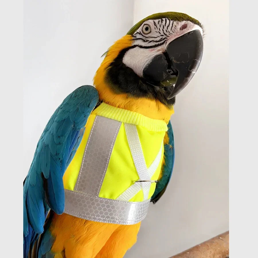 New Creative Parrot Reflective Clothing