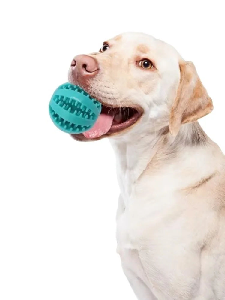 Treat entertaining Ball