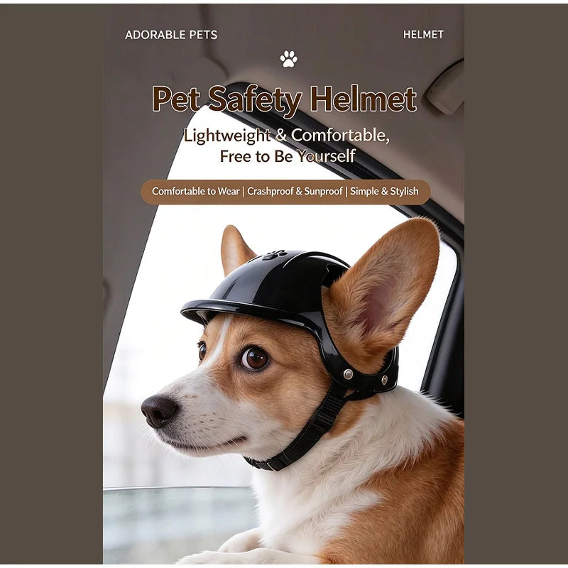 Pet Helmets Windproof Transparent Glasses Sunglasses