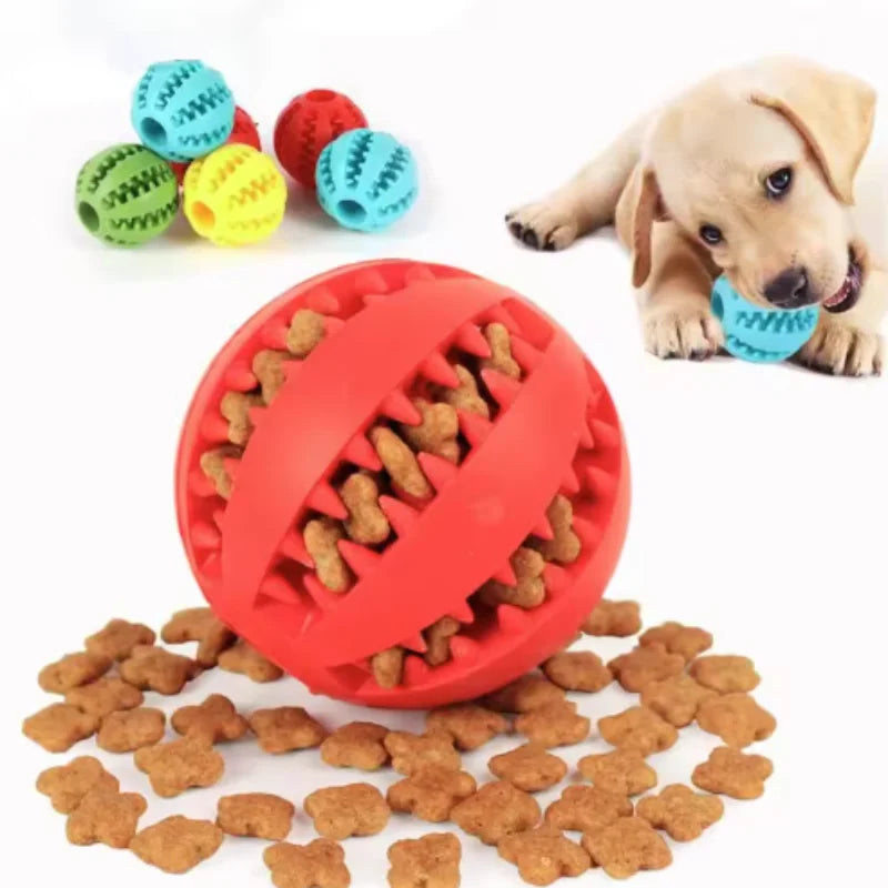 Treat entertaining Ball