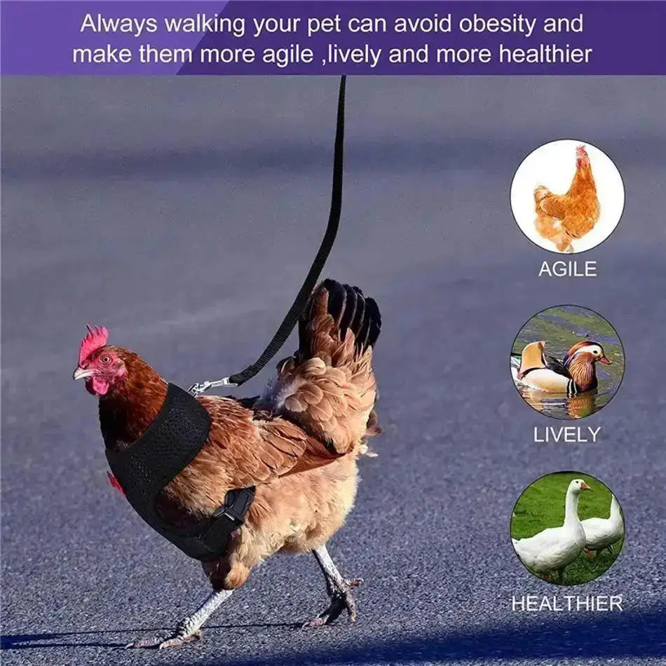 1 Pcs Fashion Chicken Duck Vest / Harness