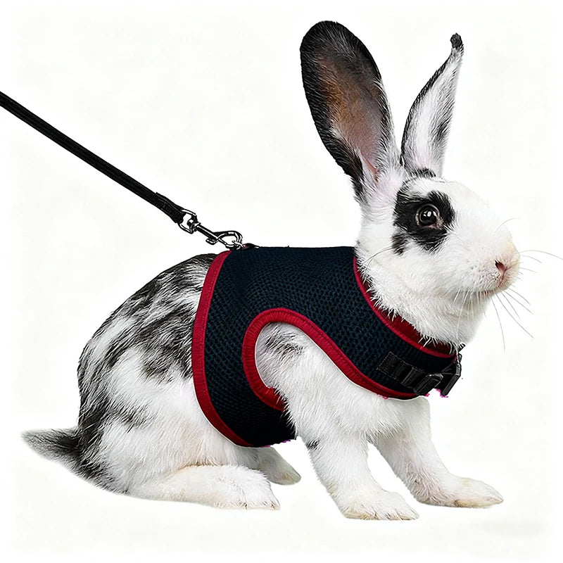 Mesh Breathable Rabbit Harness and Leash Set for Rabbits