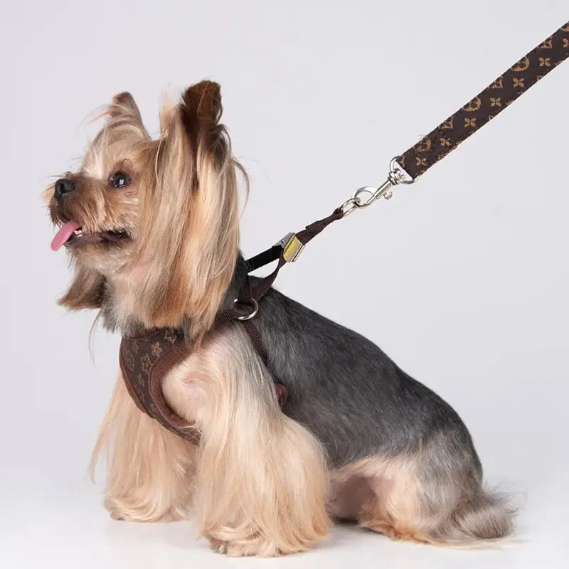 Designer Dog Harness and Leashes Set Classic Pattern