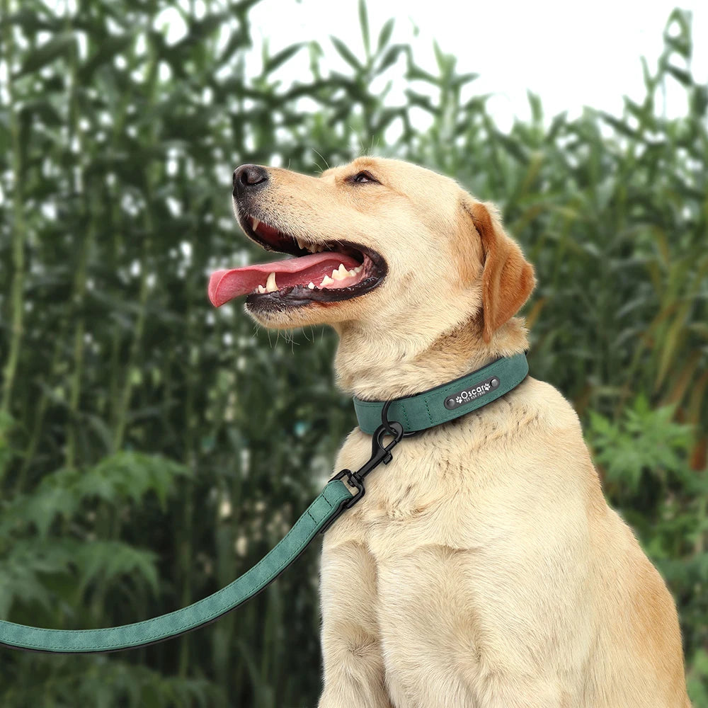 Personalized Dog Collar Leash Set Custom Leather Dog ID Collar