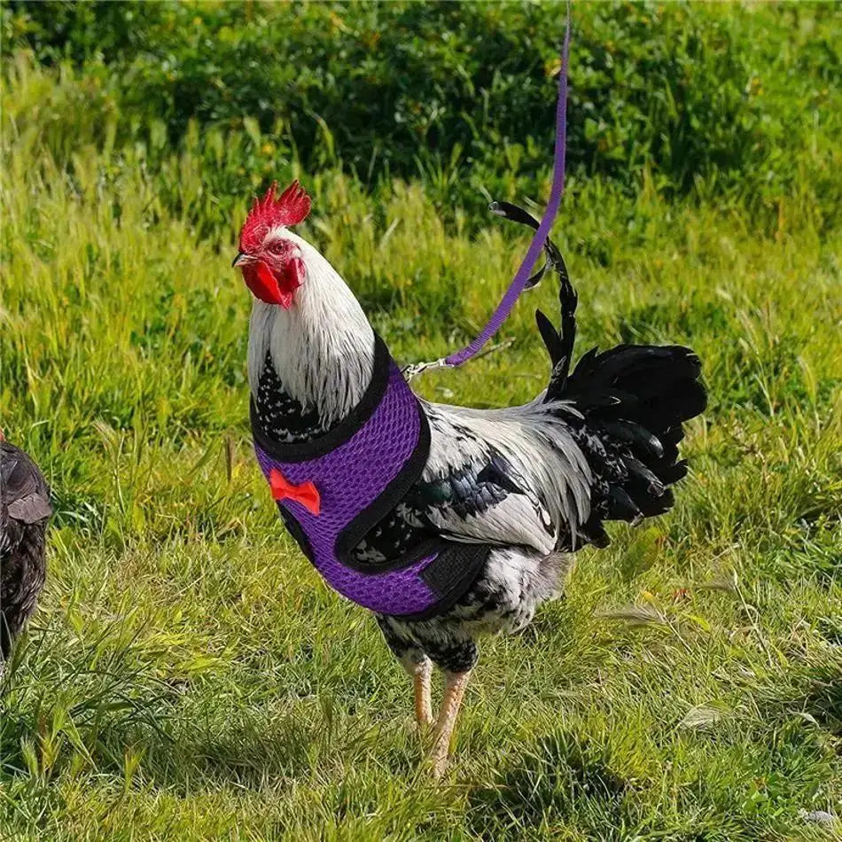 1 Pcs Fashion Chicken Duck Vest / Harness