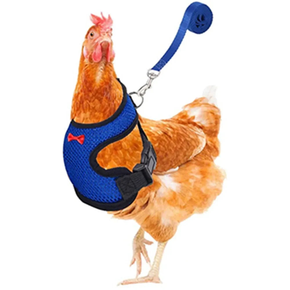 Fashion Chicken Duck Vest