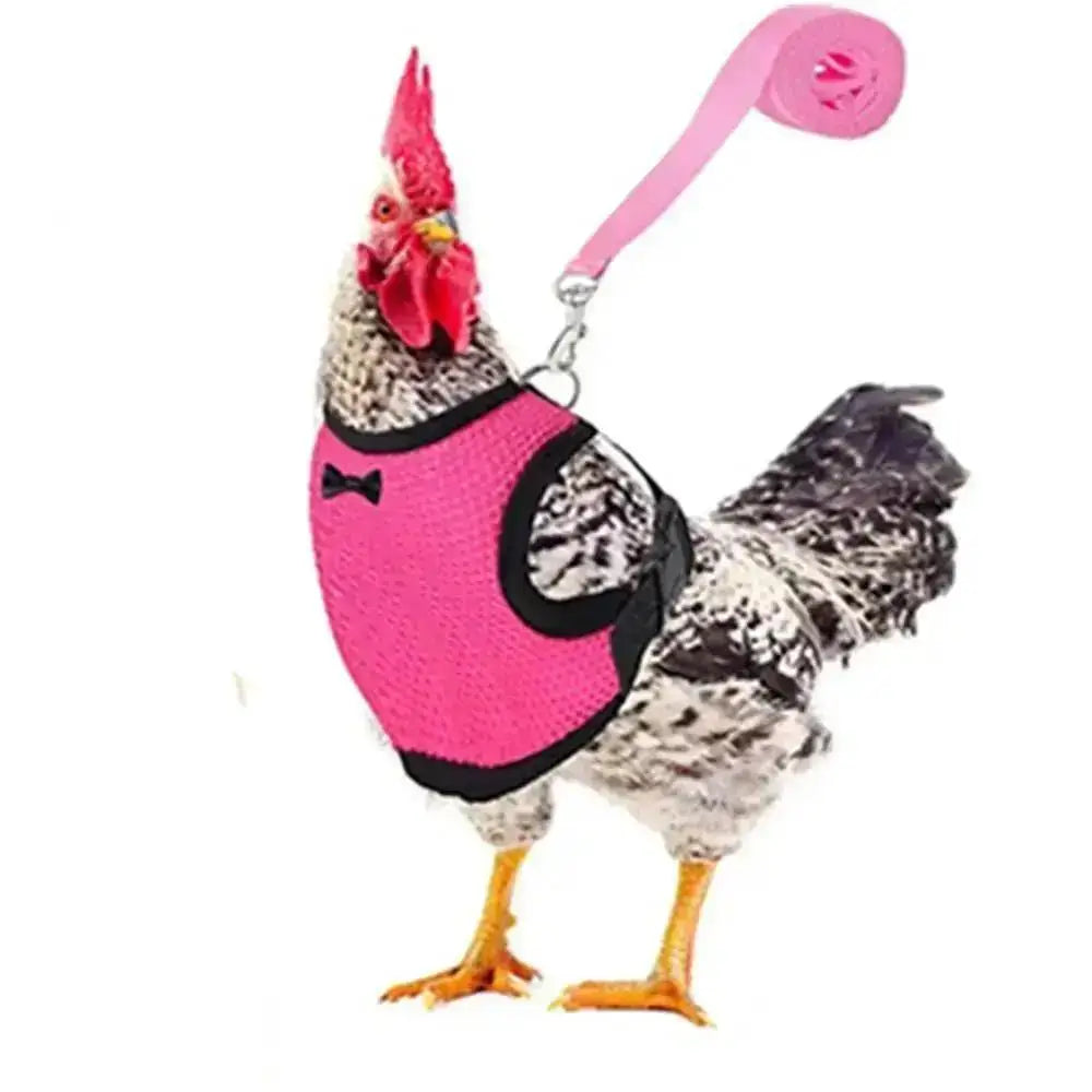 1 Pcs Fashion Chicken Duck Vest / Harness