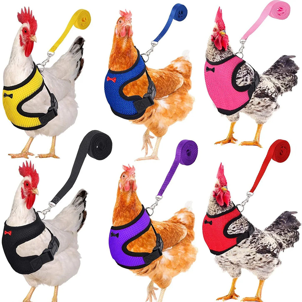 Fashion Chicken Duck Vest