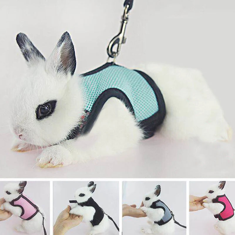 Mesh Breathable Rabbit Harness and Leash Set for Rabbits