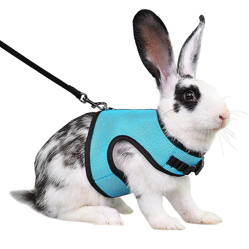 Mesh Breathable Rabbit Harness and Leash Set for Rabbits