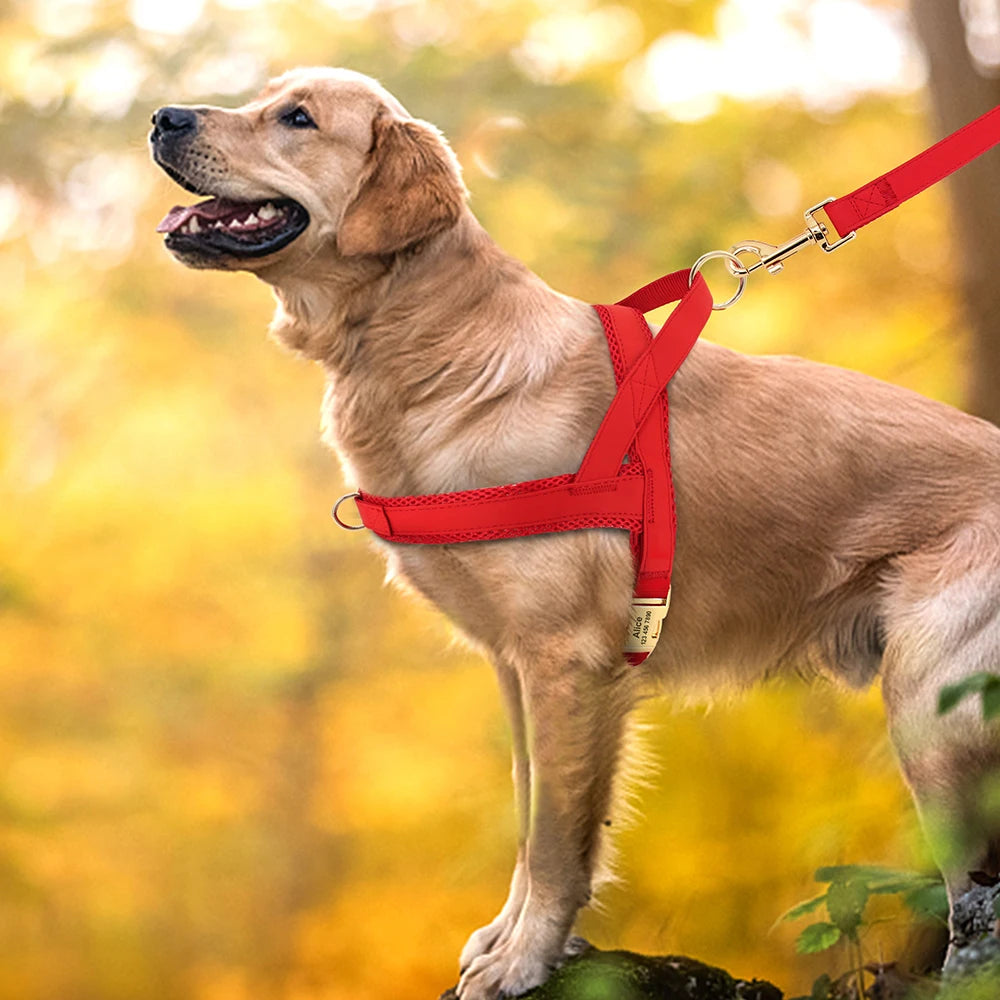 Personalized Large Dog Harness Adjustable Engraved Mesh Leather Pet Harness Vest