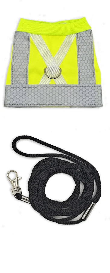 New Creative Parrot Reflective Clothing