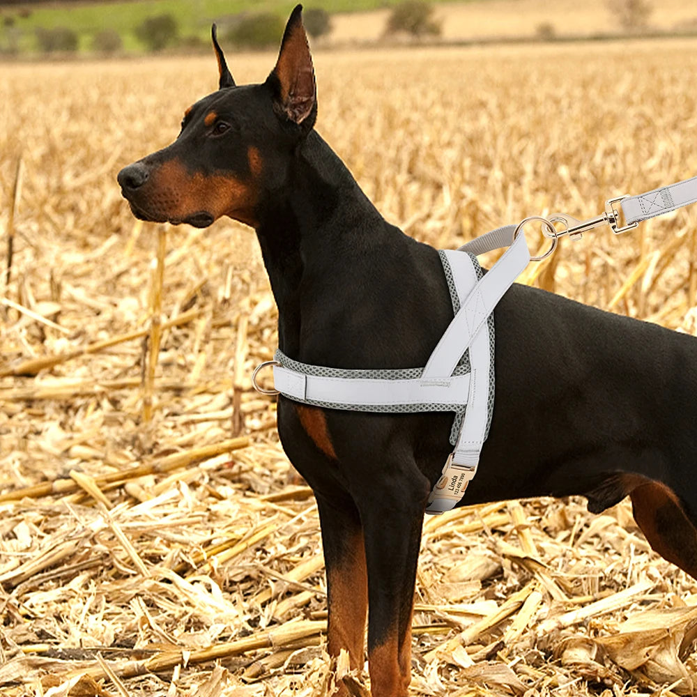 Personalized Large Dog Harness Adjustable Engraved Mesh Leather Pet Harness Vest