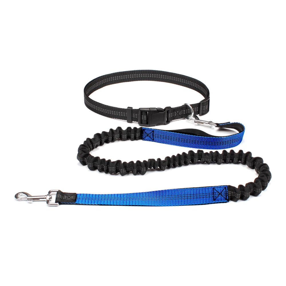 Hand Free Dog Leash for Pet Walking Running Jogging Adjustable