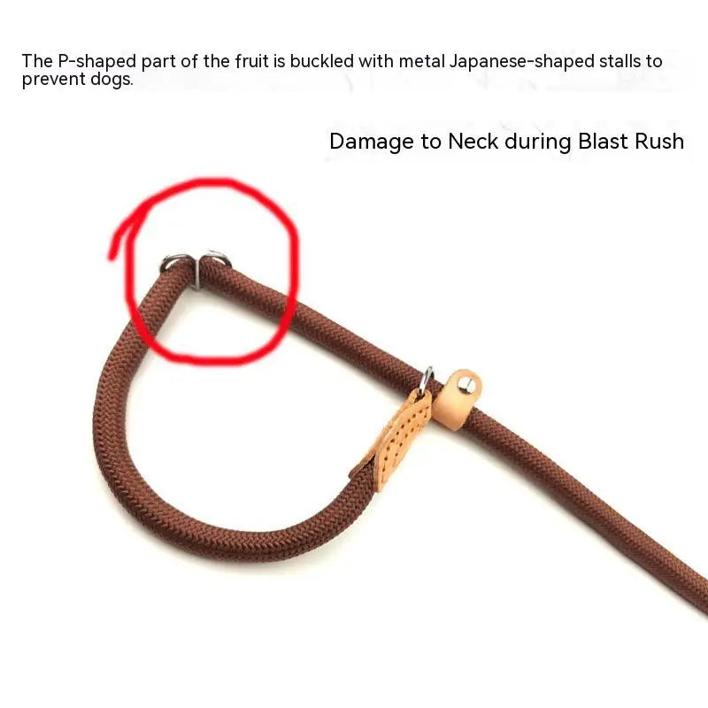 Lightweight Dog  Lead Leash Dog Harness Durable Rope Belt