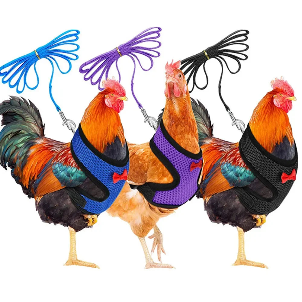 Fashion Chicken Duck Vest