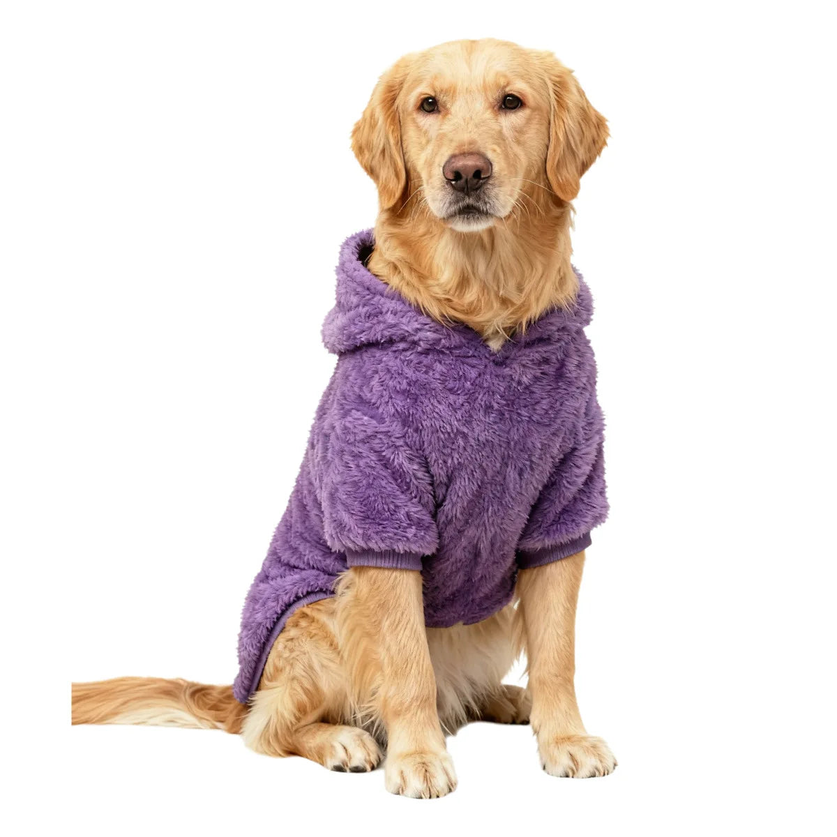 Dog Clothing for Winter - Medium & Large Dogs