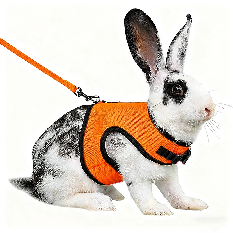 Mesh Breathable Rabbit Harness and Leash Set for Rabbits