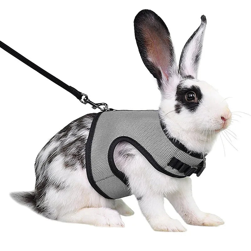 Mesh Breathable Rabbit Harness and Leash Set for Rabbits