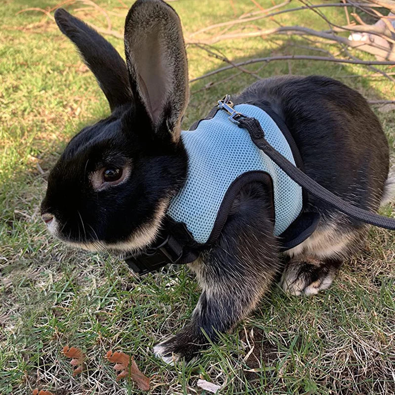 Mesh Breathable Rabbit Harness and Leash Set for Rabbits