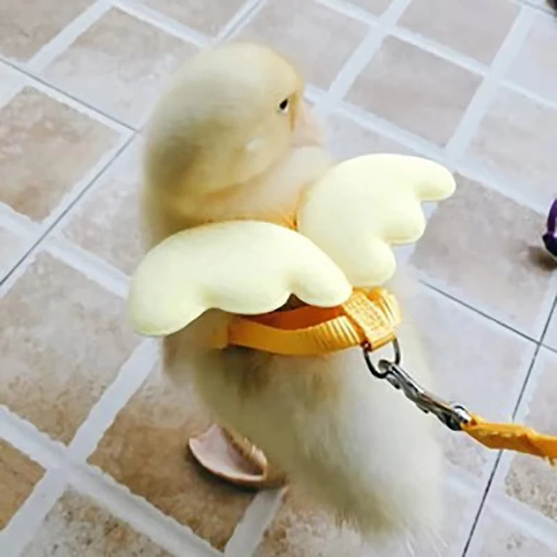 Cute Wing Duck Leash Pet Cat Harness