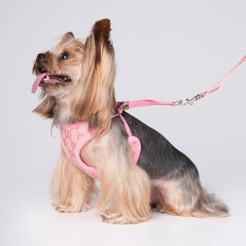 Designer Dog Harness and Leashes Set Classic Pattern
