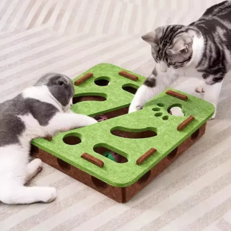 Pet Cat Puzzle Maze Holes Toys