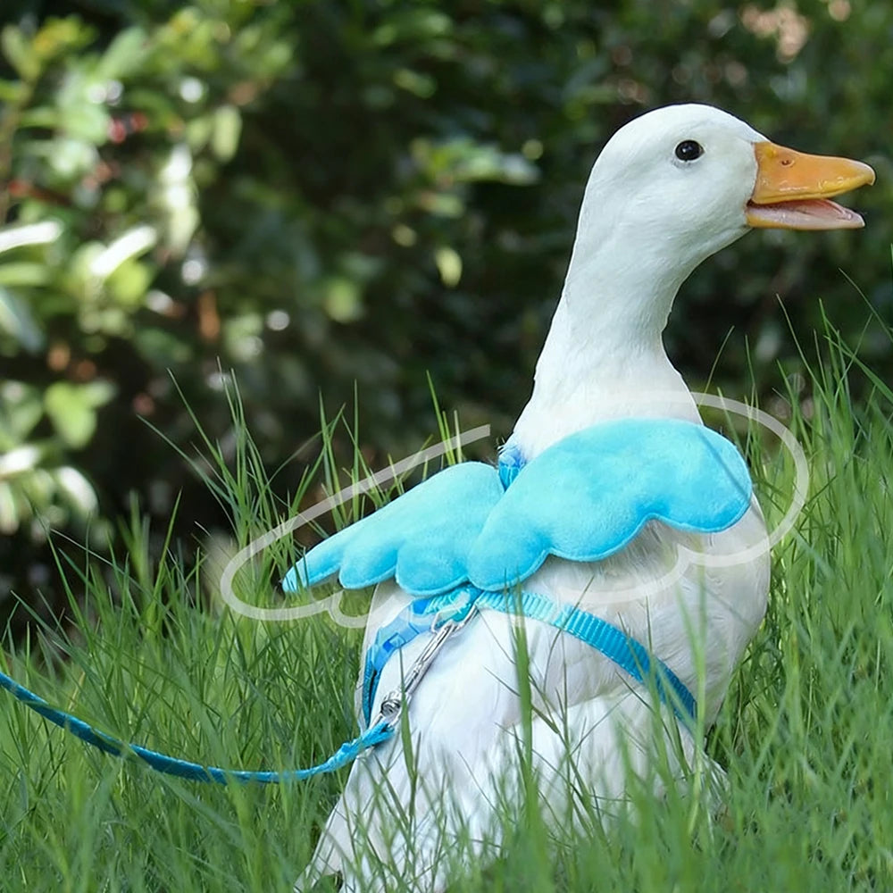 Angel Pet, Callduck Harness Leash, suitable for cats, rabbits,