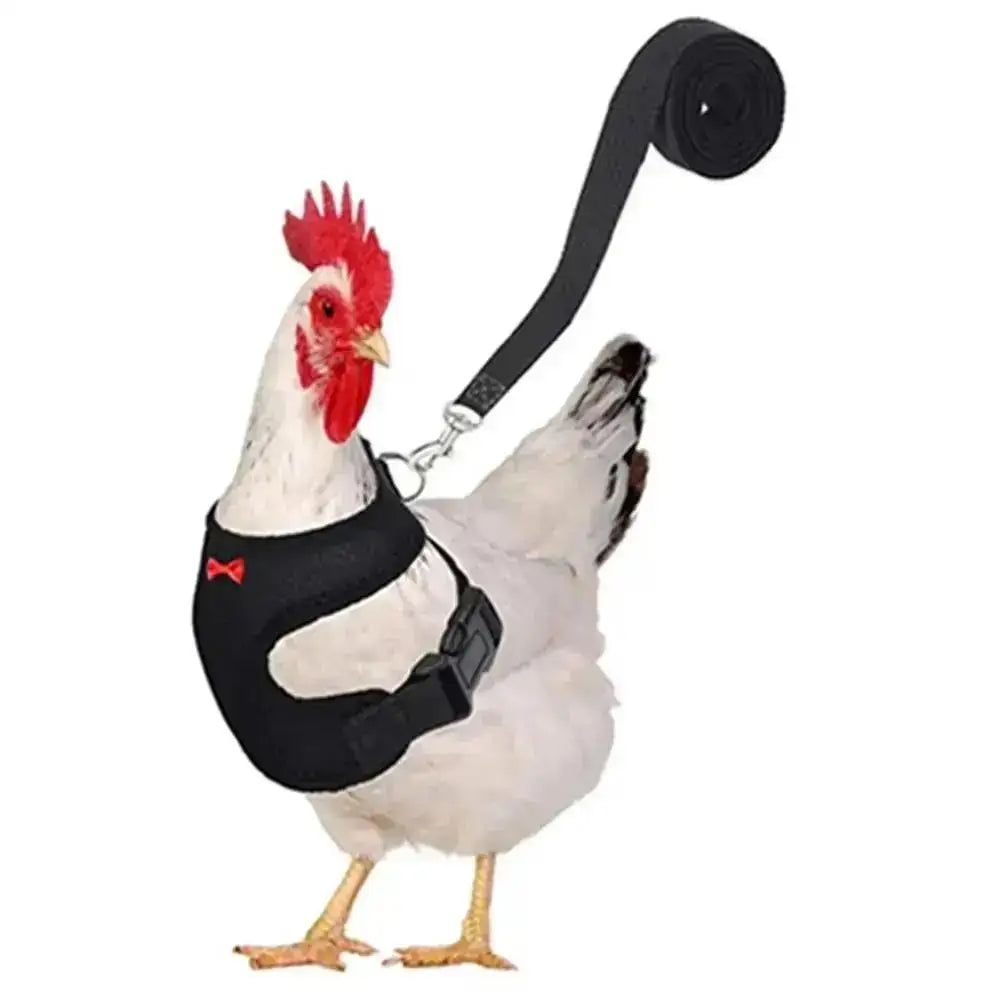 1 Pcs Fashion Chicken Duck Vest / Harness