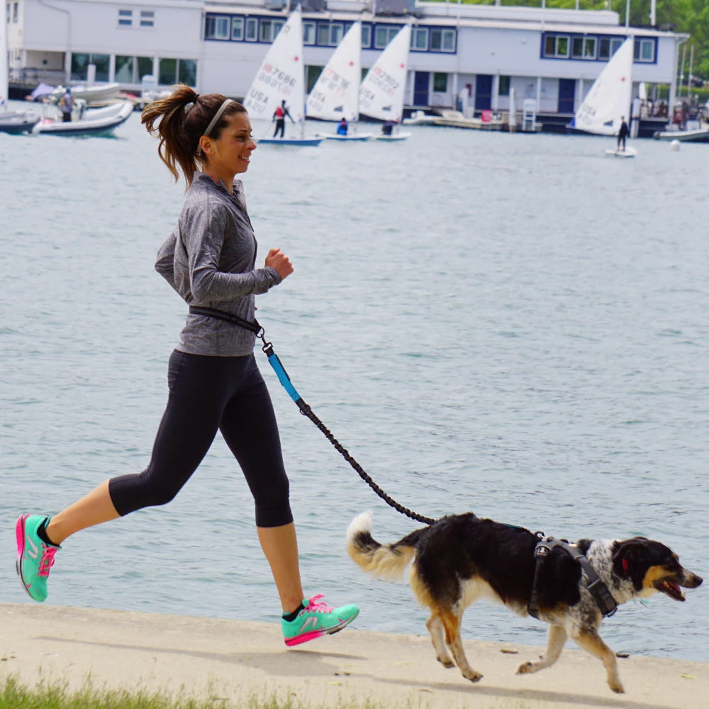 Hand Free Dog Leash for Pet Walking Running Jogging Adjustable