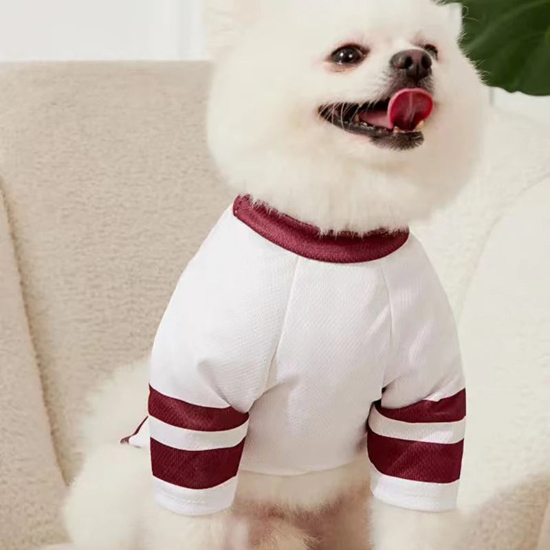 CALIFORNIA 27 Mesh Breathable Dog Jersey Basketball