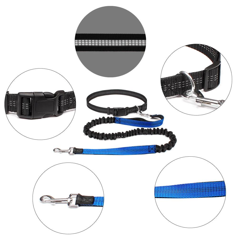 Hand Free Dog Leash for Pet Walking Running Jogging Adjustable