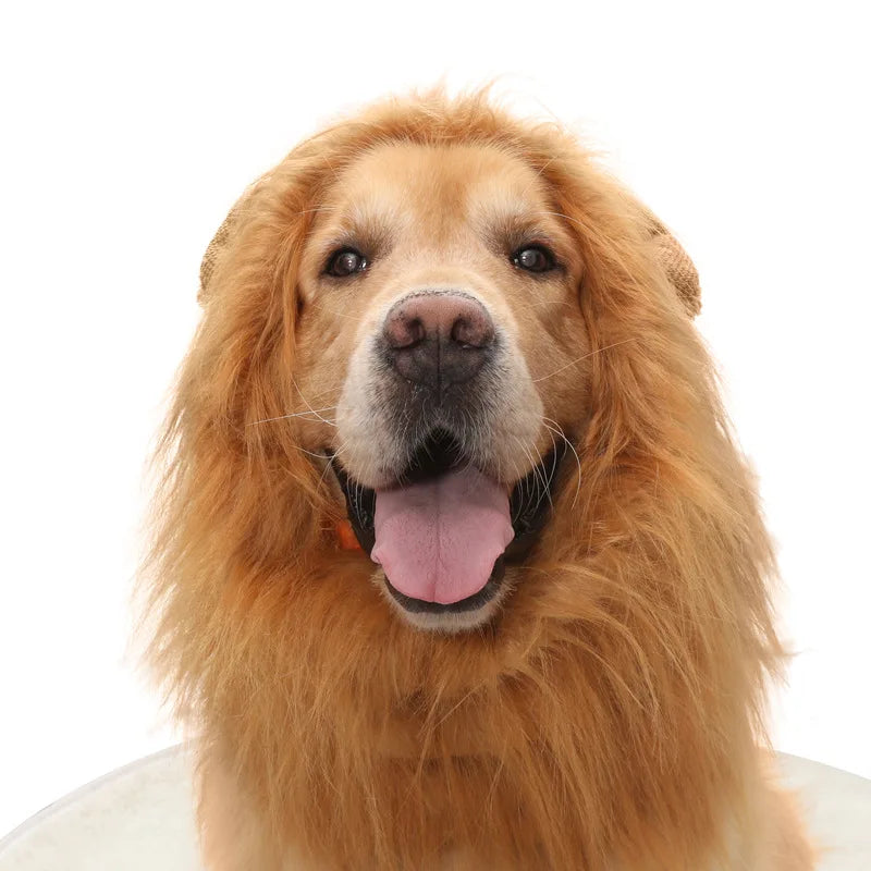 Halloween Accessories Pet Lion Head Wig