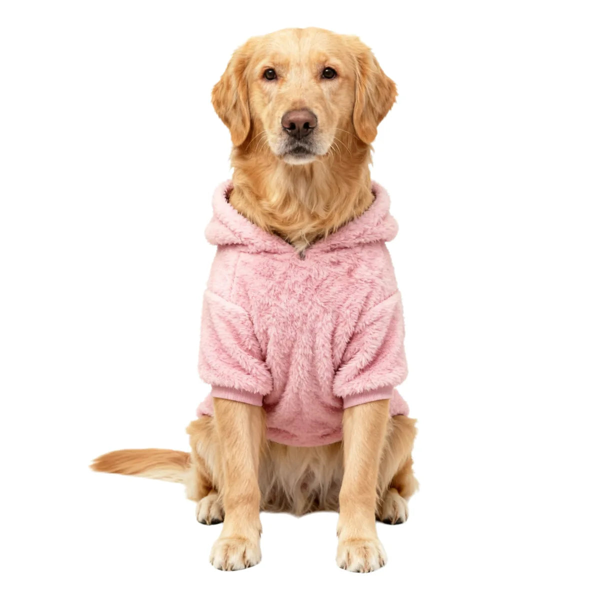 Dog Clothing for Winter - Medium & Large Dogs