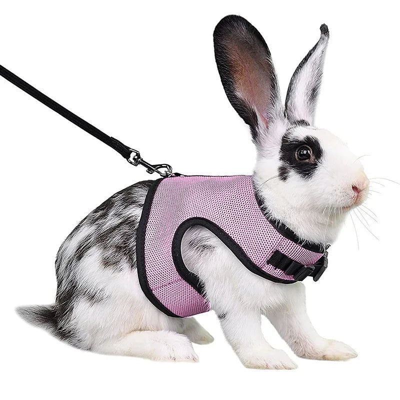 Mesh Breathable Rabbit Harness and Leash Set for Rabbits