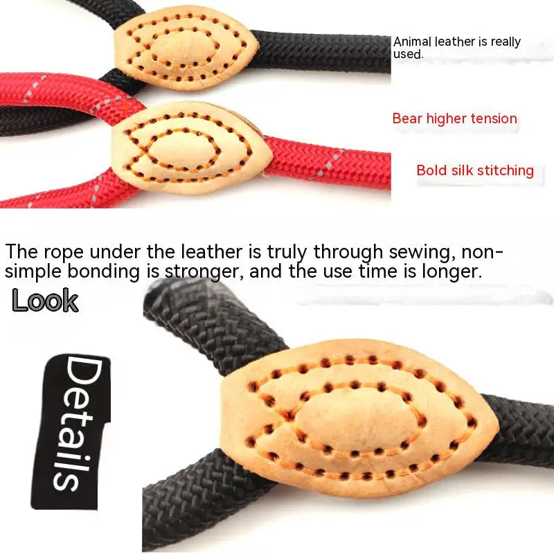 Lightweight Dog Lead Leash Durable Rope Belt