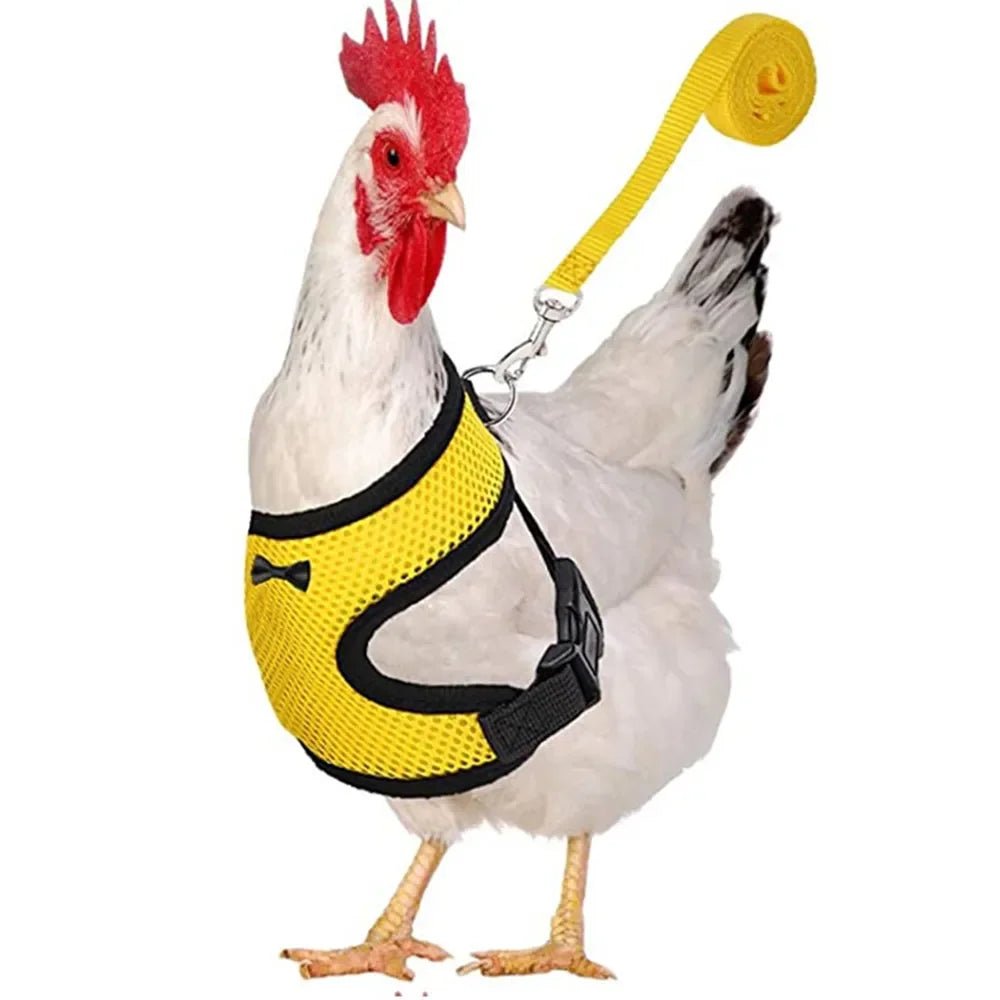 Fashion Chicken Duck Vest