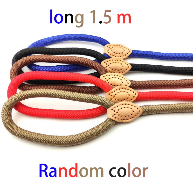 Lightweight Dog Lead Leash Durable Rope Belt